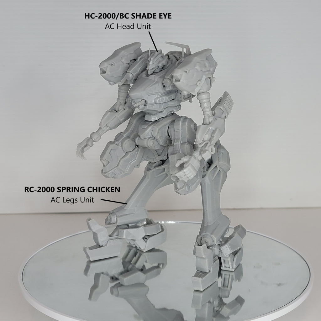 (30 Minutes Missions) RaD XC-2000 AC Frame Pack
