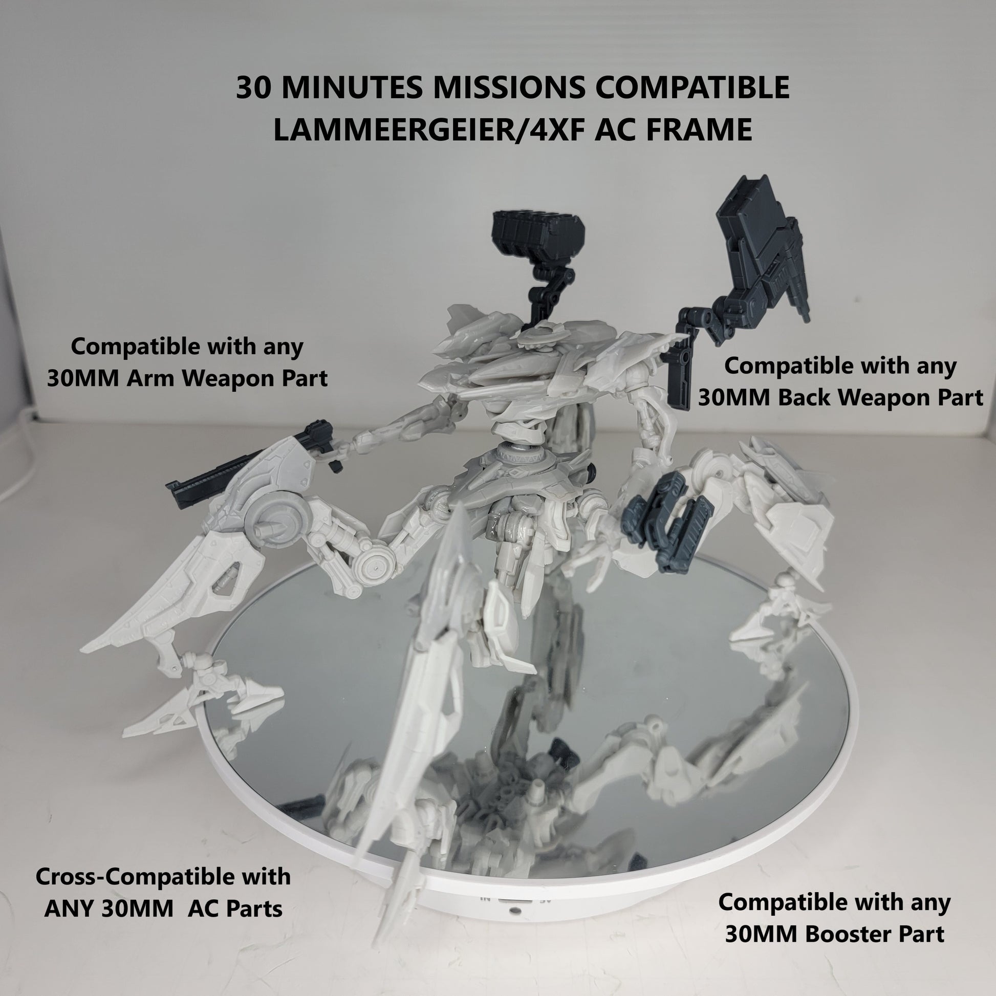 (30 Minutes Missions) SCHNEIDER LAMMERGEIER/4XF AC Frame