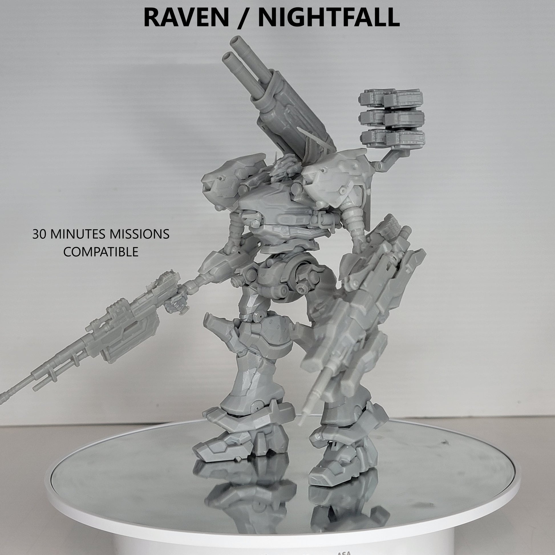 Raven / NIGHTFALL Resin Model Kit (30 Minutes Missions Scale)