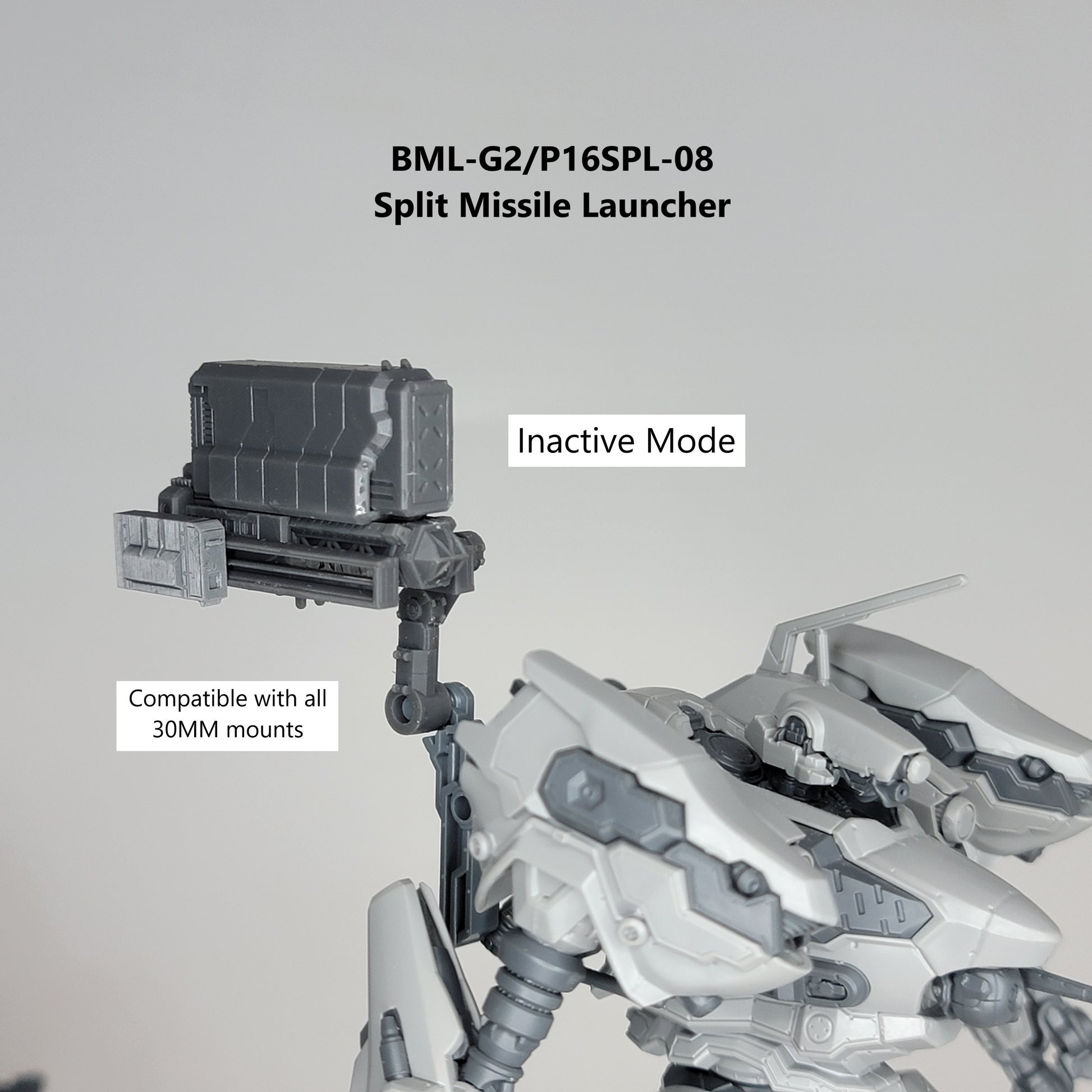 30 Minutes Missions Weapon Pack O