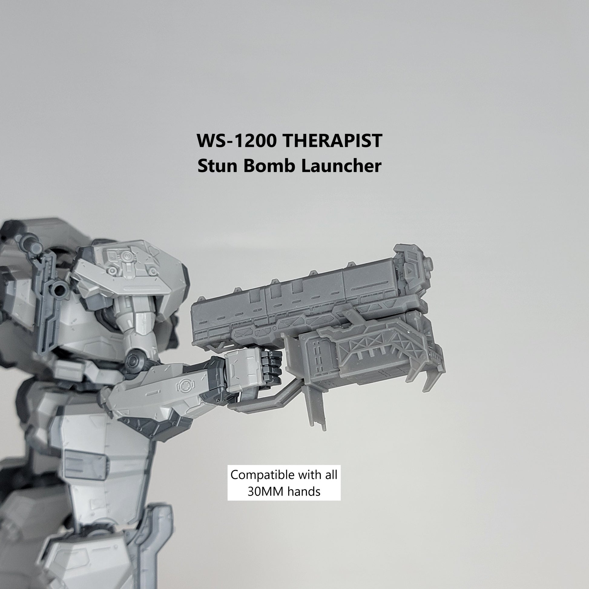 30 Minutes Missions Weapon Pack O